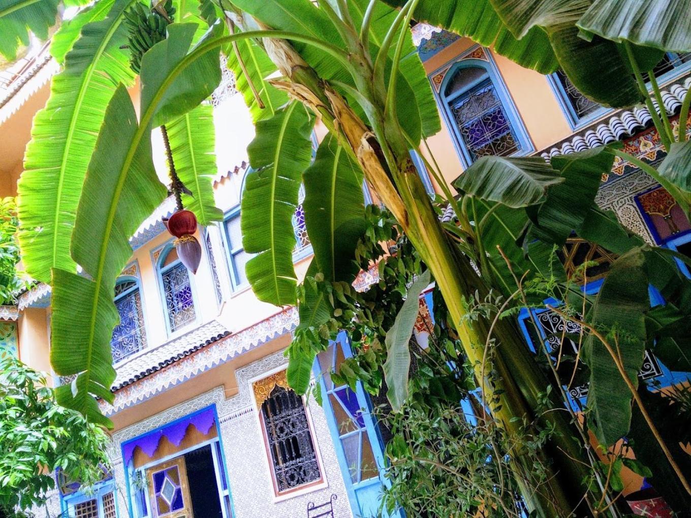 Riad Carole - Perfect For Families & Groups มาร์ราเกช ภายนอก รูปภาพ